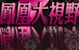 凤凰大视野【2004-2022合集】凤凰卫视纪录片-百度网盘下载【828.99GB】