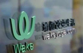 Wake-瑜伽瘦身减肥课程.瑜伽培训.全套瑜伽课程-初级+中级+高级【夸克网盘下载】【66GB】