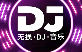 2025年抖音车载热门DJ歌曲合集-无损音乐dj合集[夸克网盘][百度网盘]下载