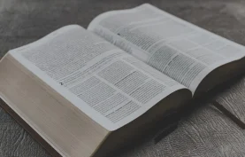 1416册精选电子书库｜经典/热门/豆瓣高分·文学社科历史哲学.PDF格式.夸克网盘下载【62.8GB】