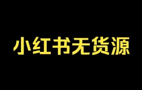 小红书“懒人掘金”极简模型：不拍摄不囤货，用一部手机打造无货源店铺【夸克网盘】