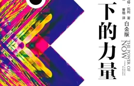 《当下的力量》电子书+有声书合集(pdf+azw3+epub+mobi)格式[百度网盘][夸克网盘]下载.豆瓣高分图书