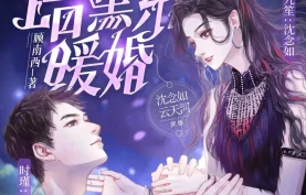 [百度网盘][夸克网盘]《暗黑系暖婚》有声剧.全992集.MP3格式.沈念如&云天河