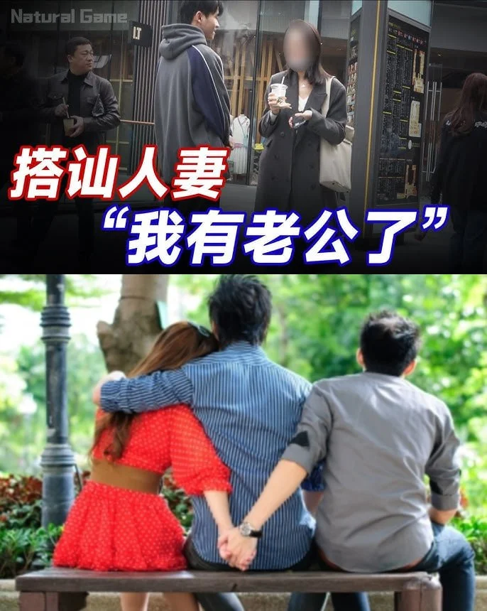 李新野《人妻约会指南》原版与精华提炼版【PDF格式】夸克网盘/百度网盘下载 - 第1张图片 李新野《人妻约会指南》原版与精华提炼版【PDF格式】夸克网盘/百度网盘下载的图片(1)