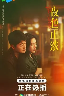 国产剧-夜色正浓 (2026)【剧情】4K高码.国语中字.夸克网盘/百度网盘下载的图片(1)