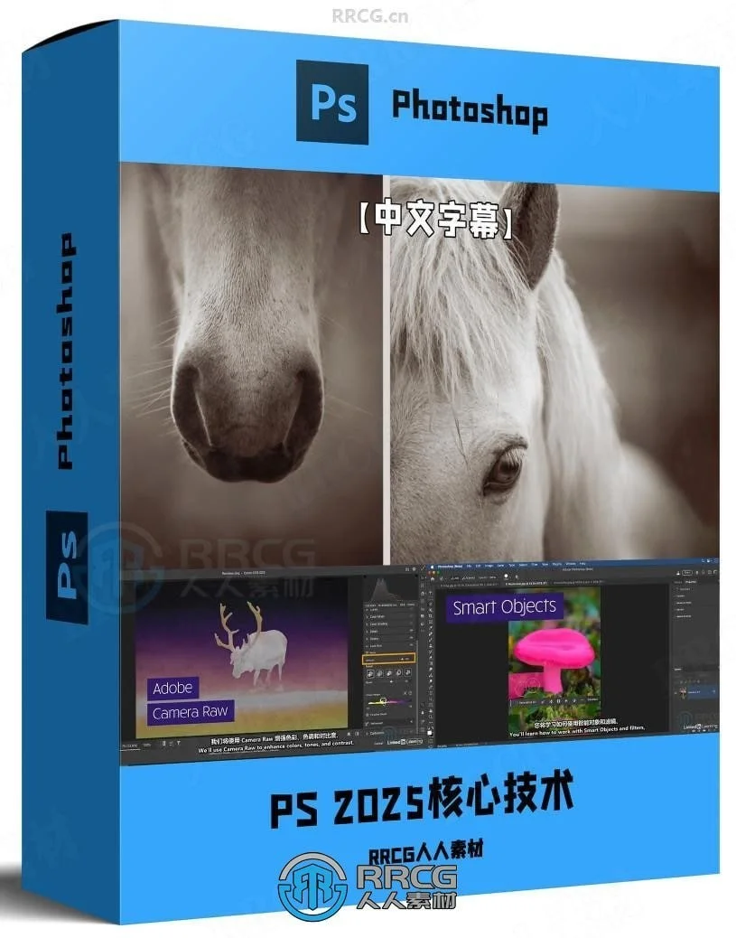 课程-Photoshop2025全面核心技术训练教程【中文字幕】夸克网盘/百度网盘下载的图片(1)